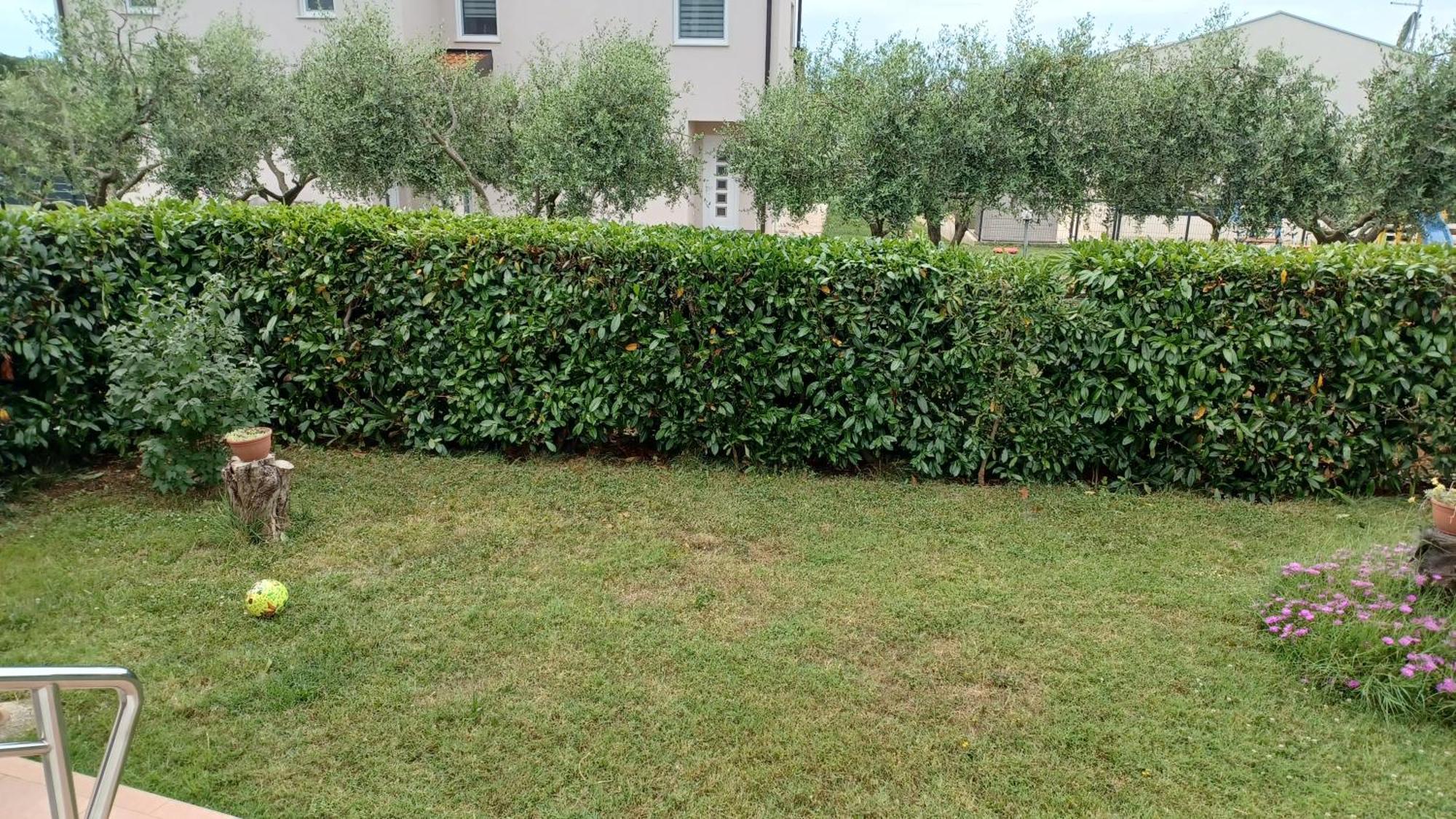 Apartments Villa Adamovic Umag Eksteriør bilde